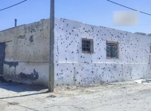 تصویر نویسنده